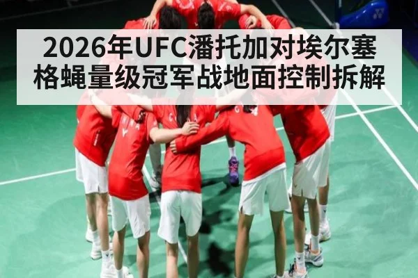 2026年UFC潘托加对埃尔塞格蝇量级冠军战地面控制拆解
